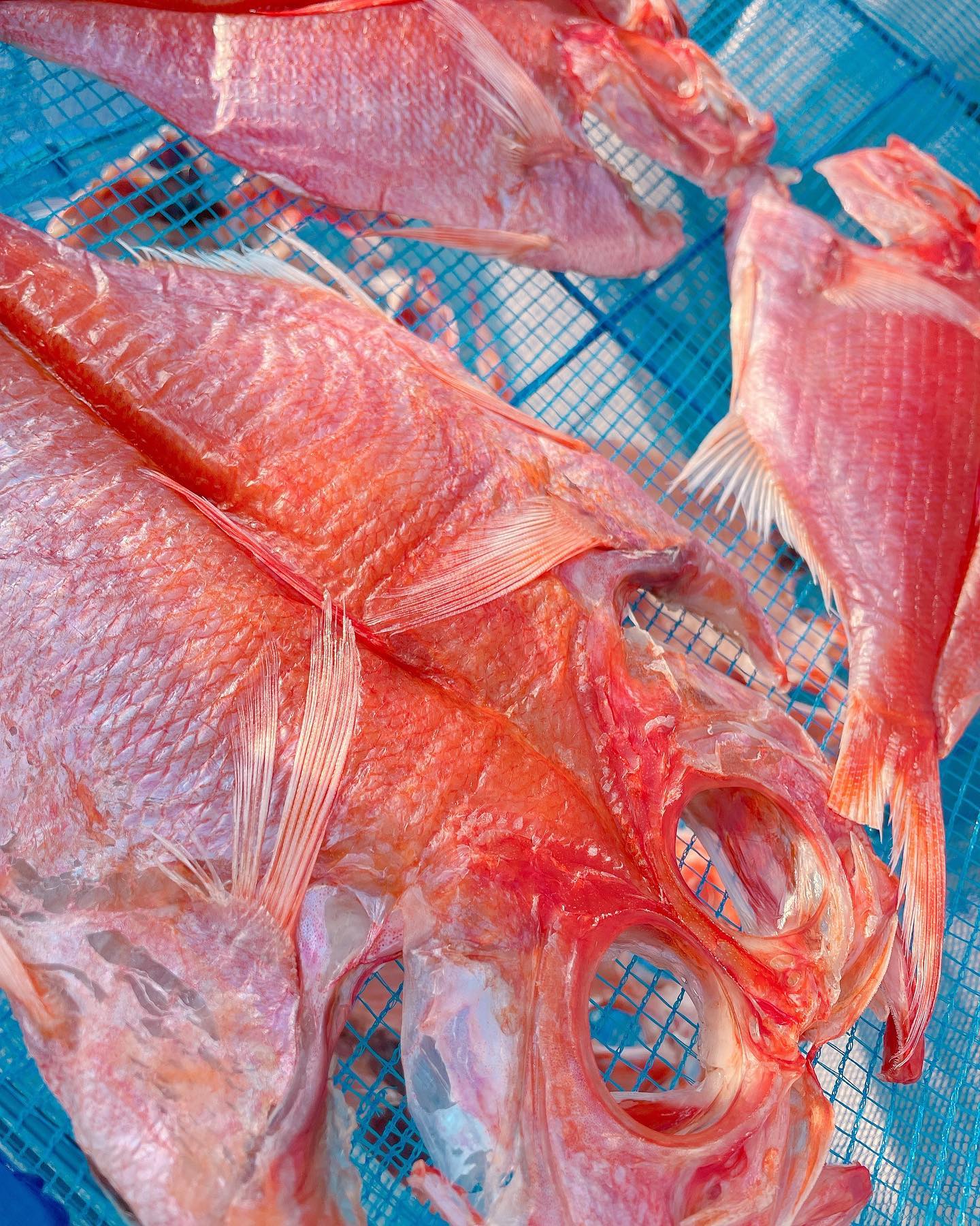 かりゆしキンメ